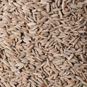 Cumin Europe 99%