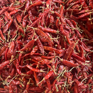 Red Chilli with stem Teja 334