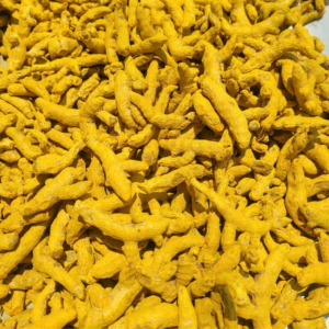 Turmeric Finger